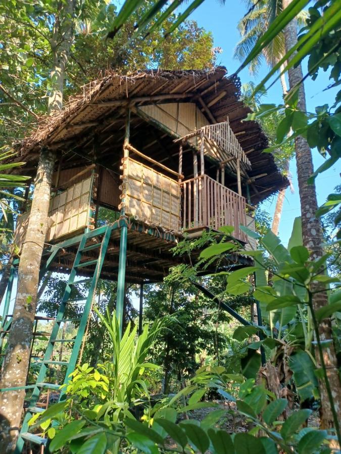 Kayyalas Courtyard Thrissur Exterior photo
